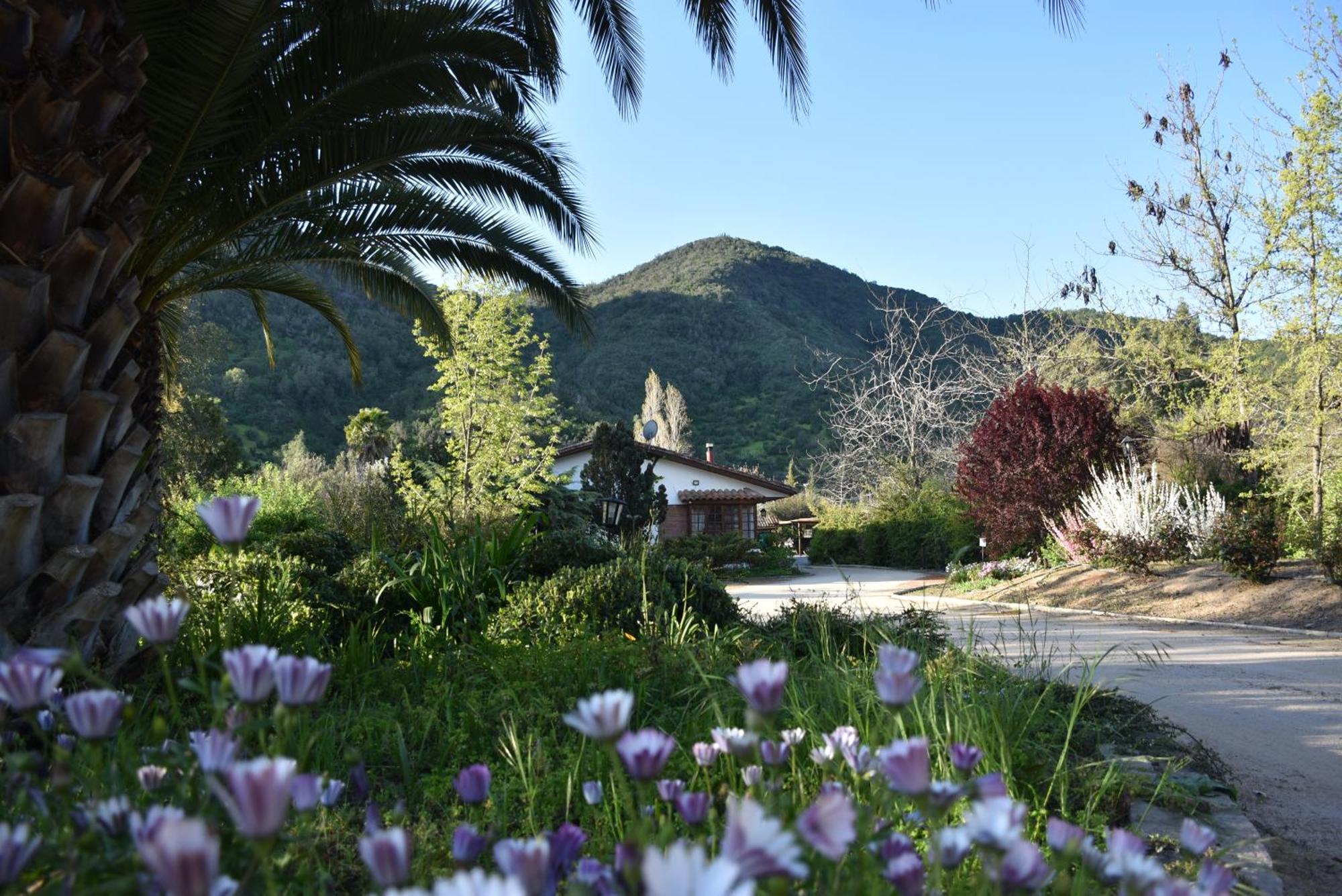 סנטה קרוז Hotel Boutique Solaz Bella Vista De Colchagua מראה חיצוני תמונה