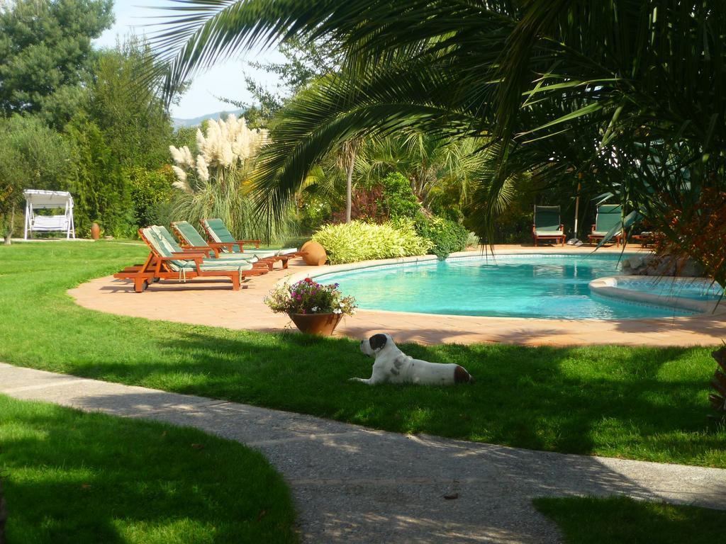 סנטה קרוז Hotel Boutique Solaz Bella Vista De Colchagua מראה חיצוני תמונה