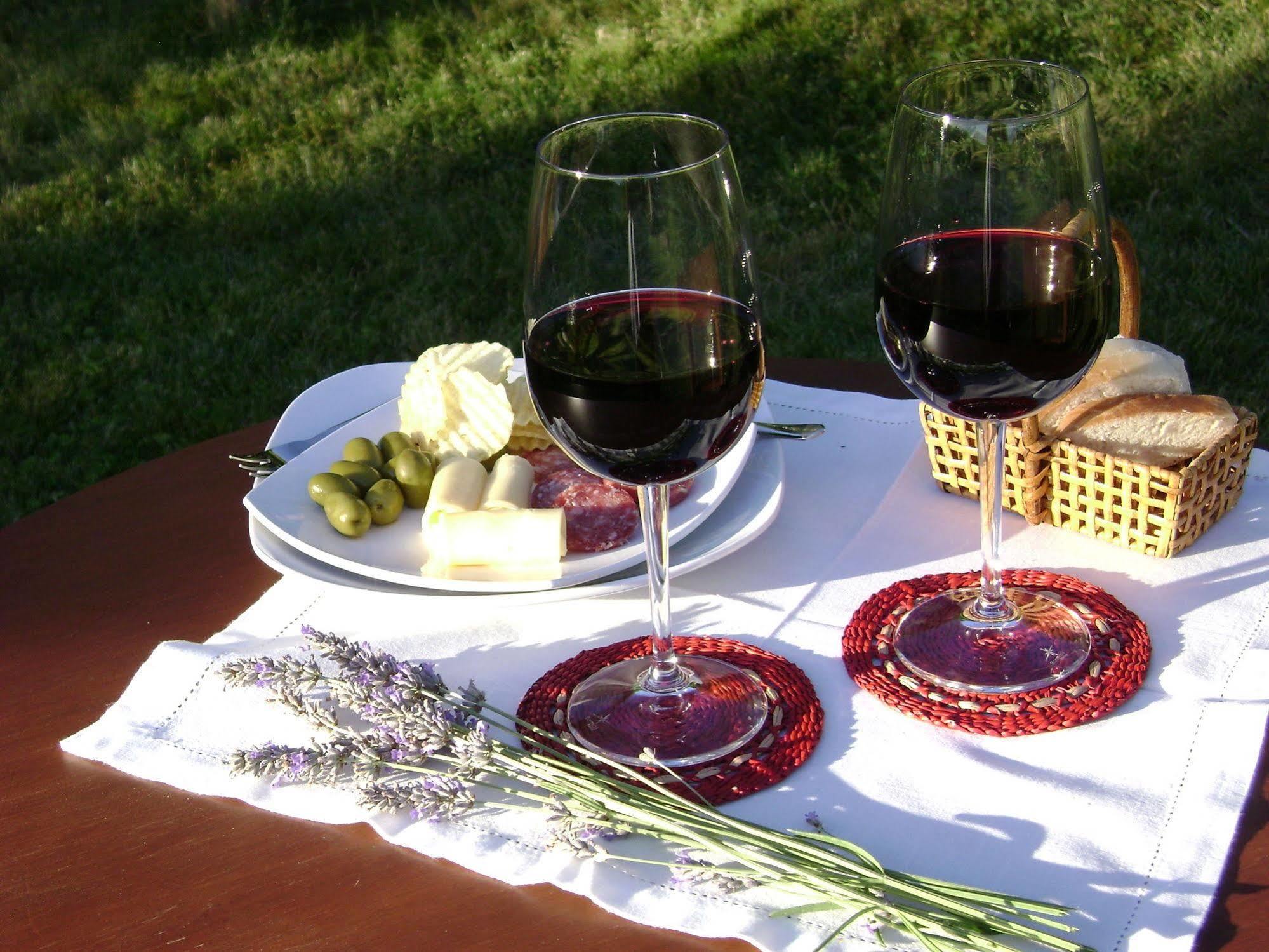 סנטה קרוז Hotel Boutique Solaz Bella Vista De Colchagua מראה חיצוני תמונה
